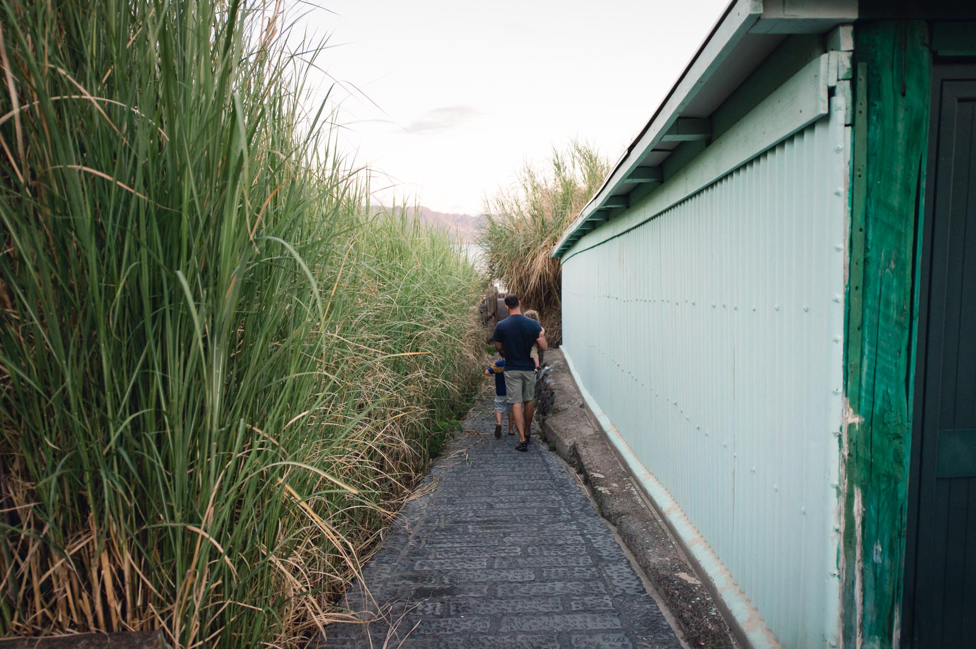 Path and edgings lead toward subjects.