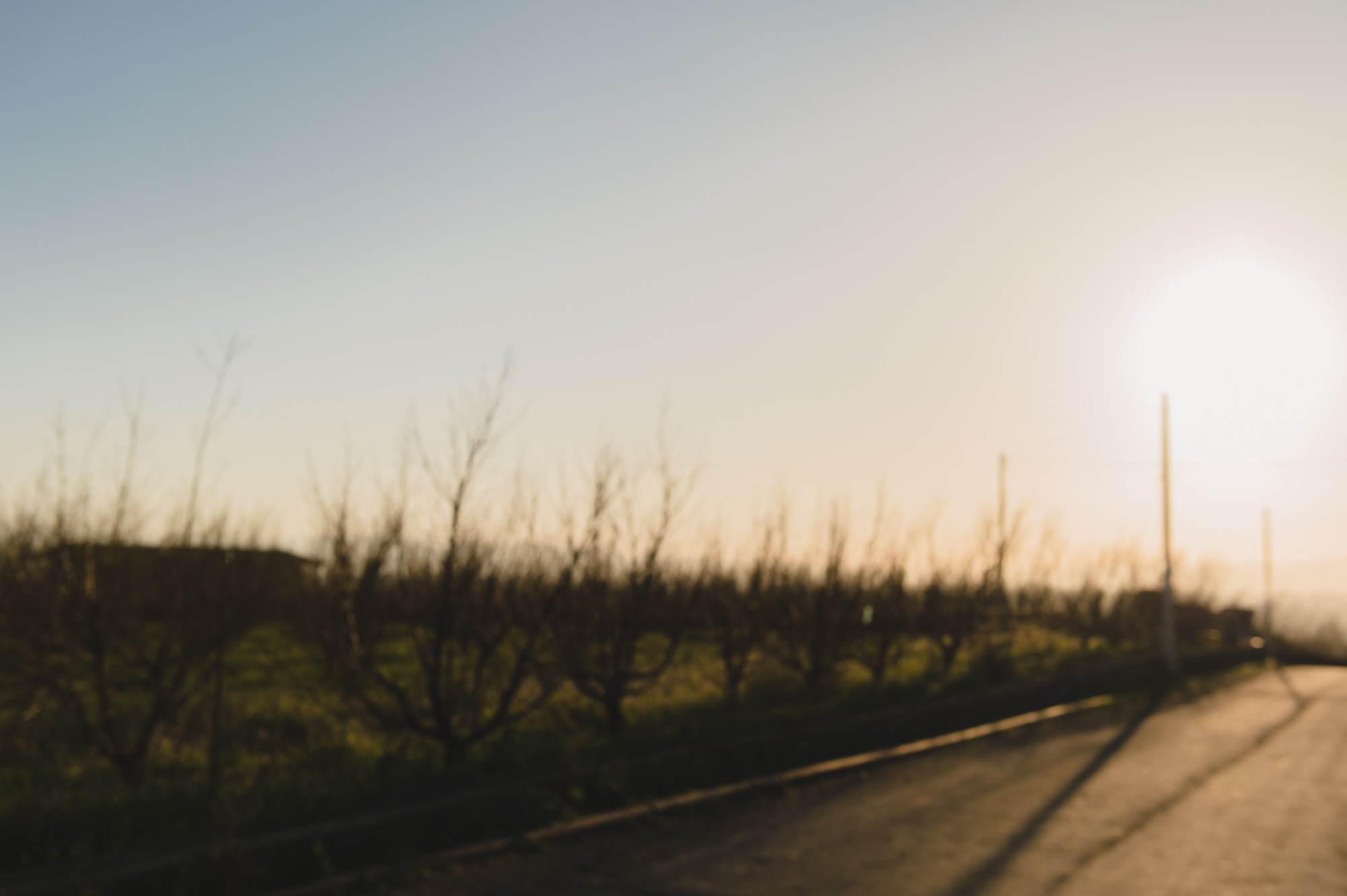 Along horizon and roadway edge towards the light.